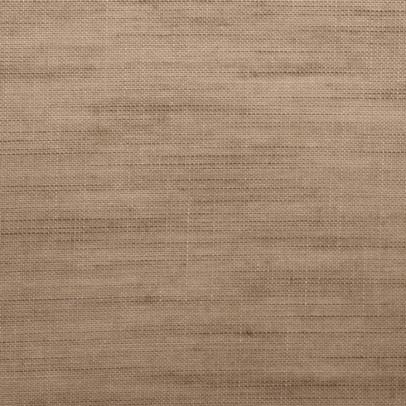 Anarchy Roller Shades