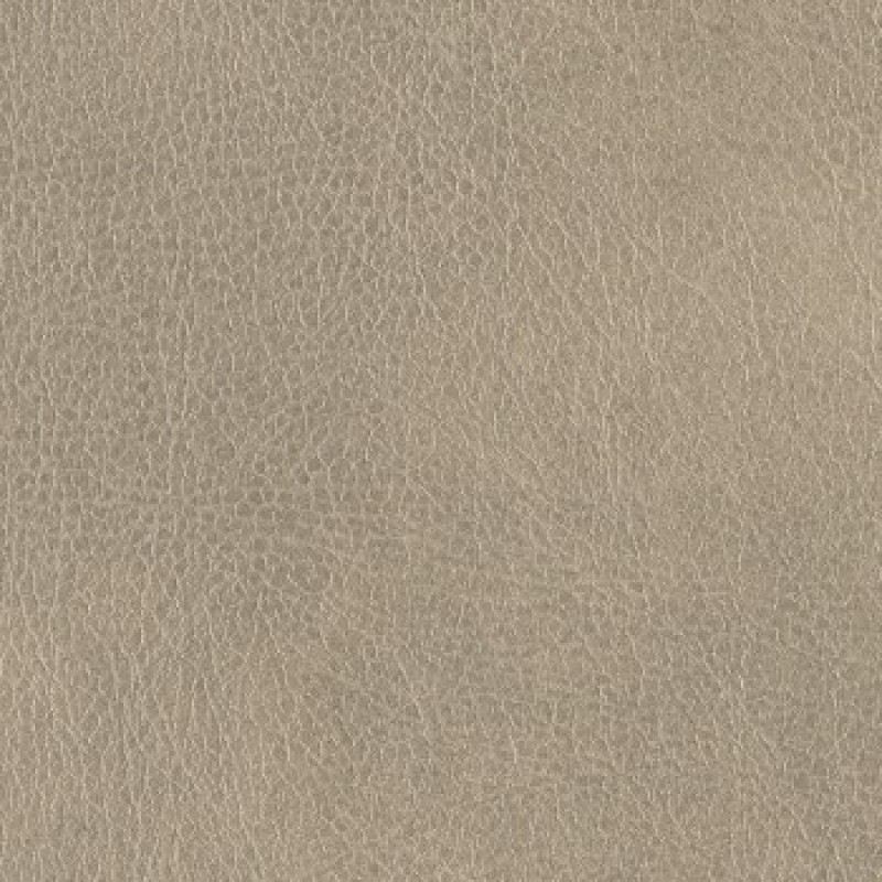 Cantina Fabric Collections