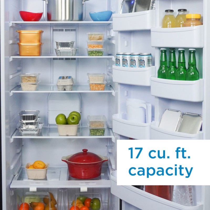 Danby Designer 17.0 cu. ft. Apartment Size Fridge in Stainless Steel