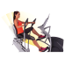 Octane Fitness xRide xR6 Recumbent Elliptical with SmartLight Console