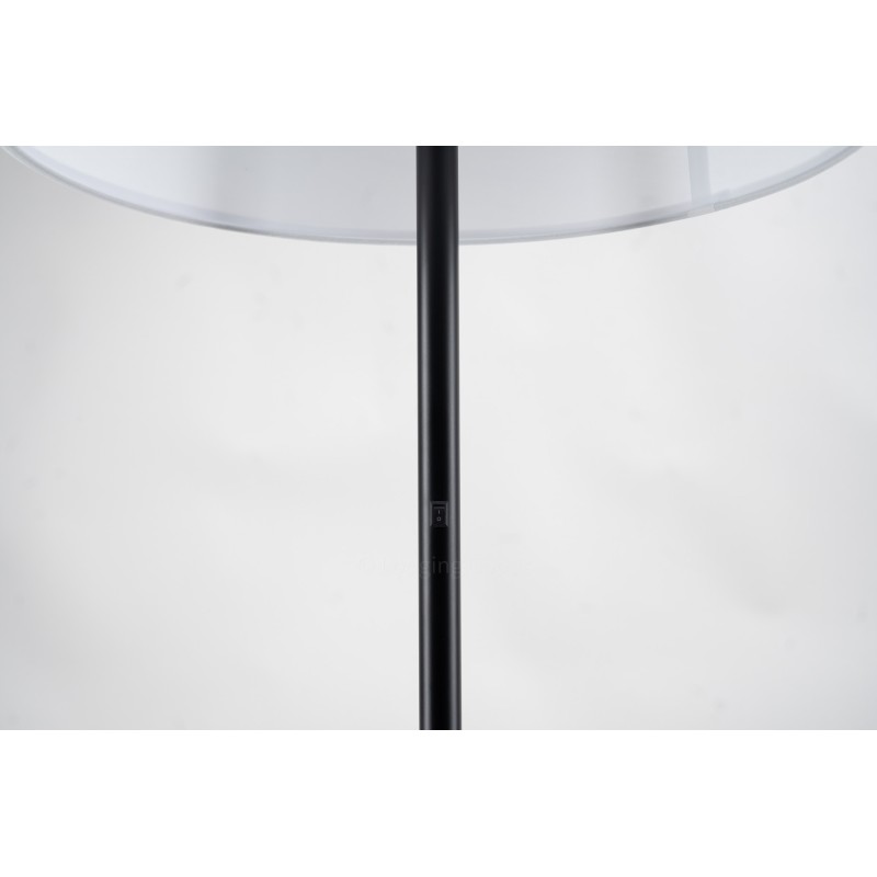 Matte Black Slanted Floor Lamp