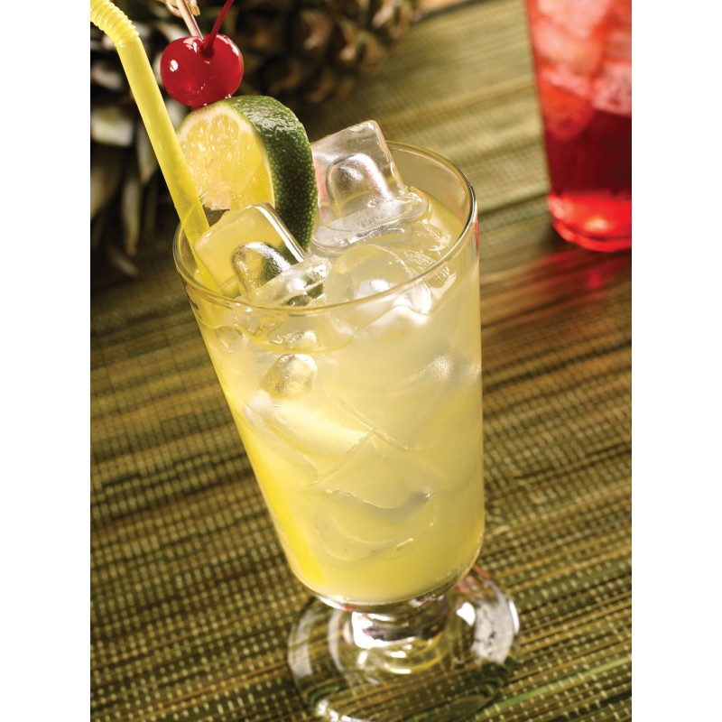 AM-50BAE-DS Ice Maker