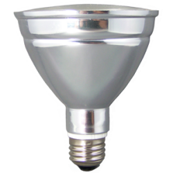 LED PAR 30 ACCENT INDOOR/OUTDOOR FLOOD LIGHT