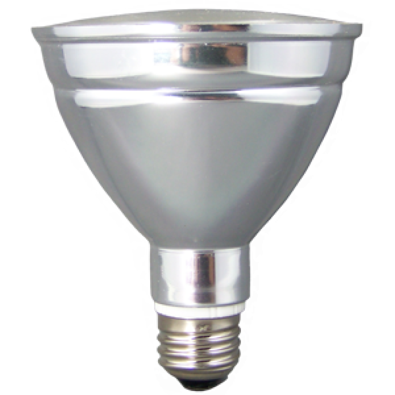 LED PAR 30 ACCENT INDOOR/OUTDOOR FLOOD LIGHT