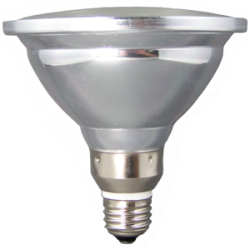 LED PAR 38 ACCENT FLOOD LIGHT