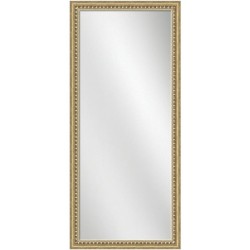 Full Length Mirror Silver Frame 24 x 60