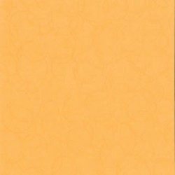 Effervescent Tangerine Wall Vinyl