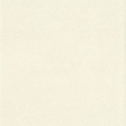 Eggshell Wall Vinyl