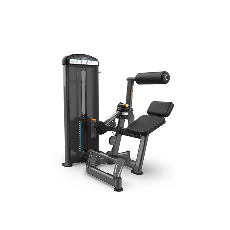 TRUE FITNESS FUSE-1300 LOW BACK EXTENSION