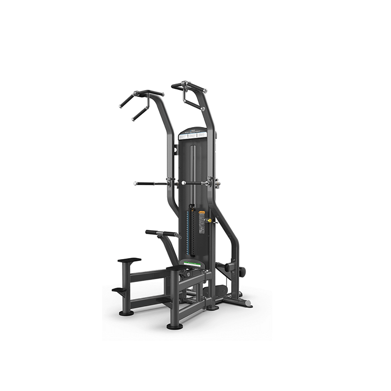 TRUE FITNESS FUSE-4000 WEIGHT ASSISTED CHIN/DIP
