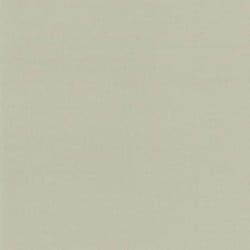 Fawn Wall Vinyl