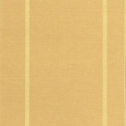 Gradiant Stripe Wall Vinyl