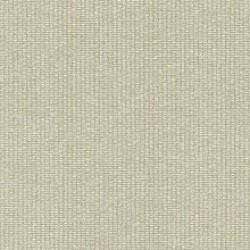 Kia Sand Wall Vinyl