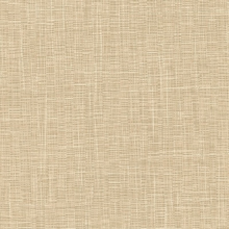 Kia Stripe Brine Wall Vinyl