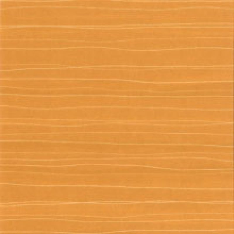 Leaf Coordinate Tangerine 1 Wall Vinyl