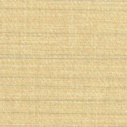 Maestro Tawny Wall Vinyl