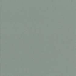 Necleus Wall Vinyl