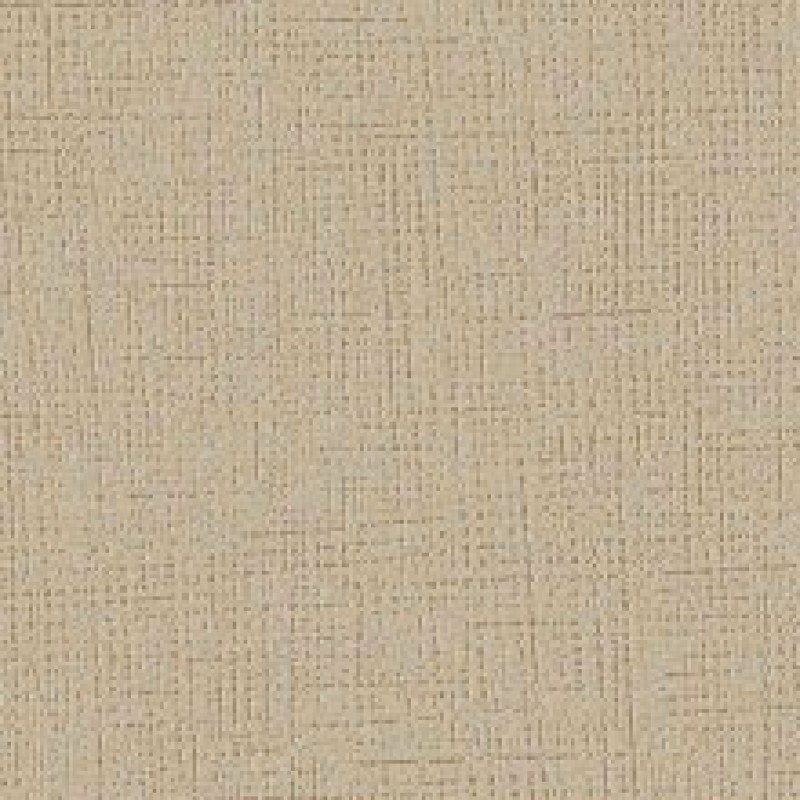 Plaster Effect Wall Vinyl