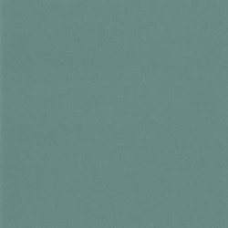 Sky 1 Wall Vinyl