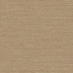 Streamline Wall Vinyl