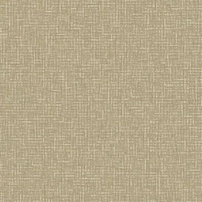 Suggestive Wall Vinyl