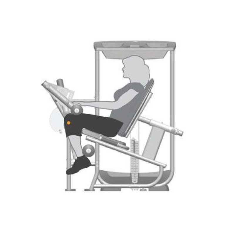 Seated Leg Curl