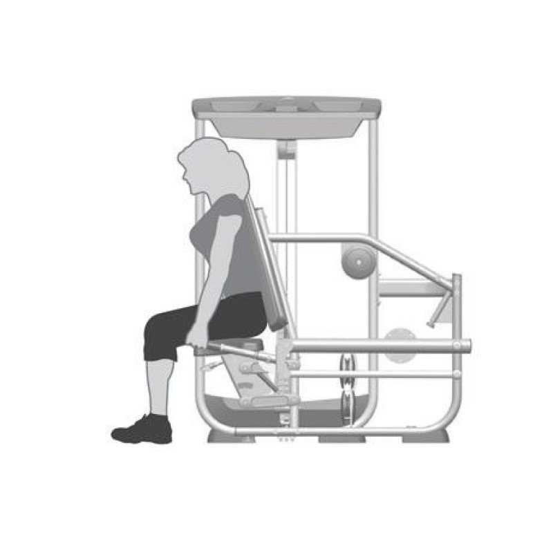 Triceps Press