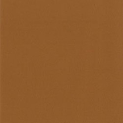 Terracotta 1 Wall Vinyl