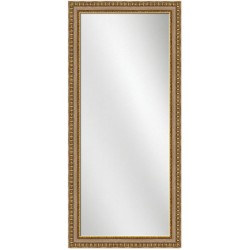 Full Length Mirror Silver w/gold Frame 24 x 60