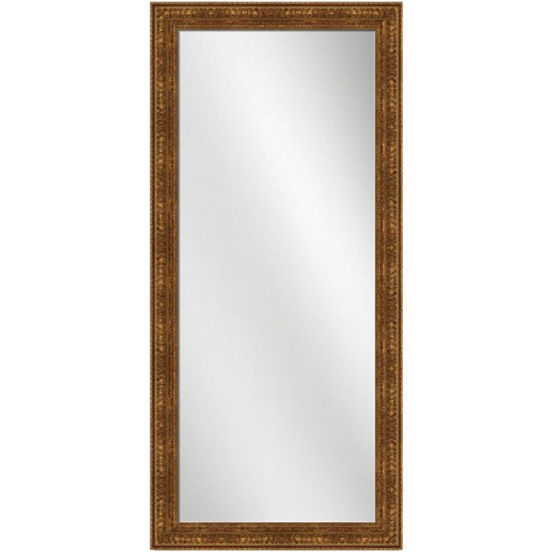 Full Length Mirror Antique Gold 24 x 60