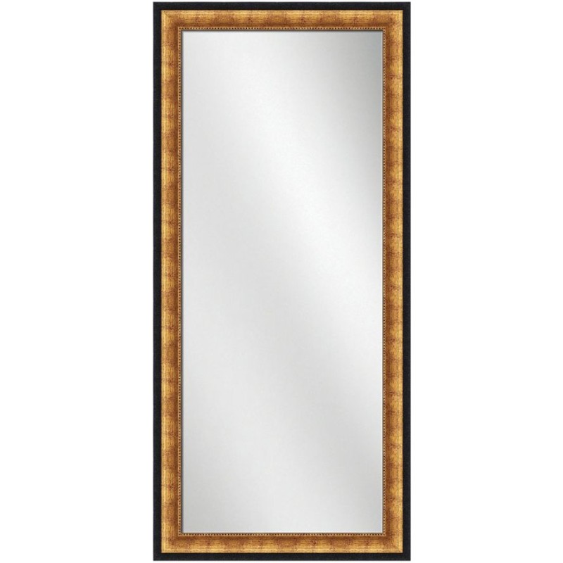 Full Length Mirror Gold w/black Frame 24 x 60