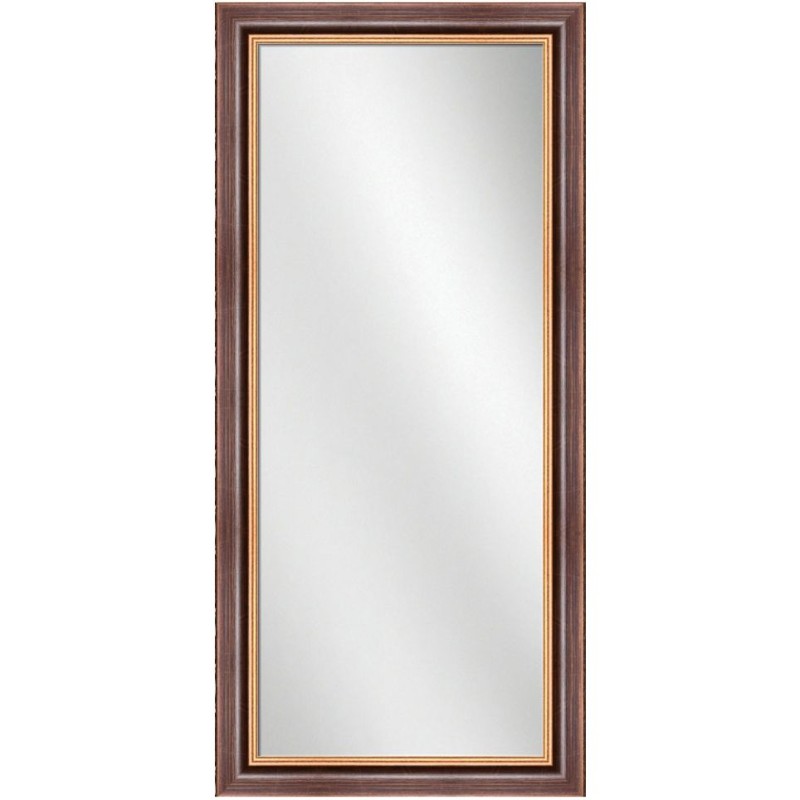 Full Length Mirror Bronze Frame 24 x 60