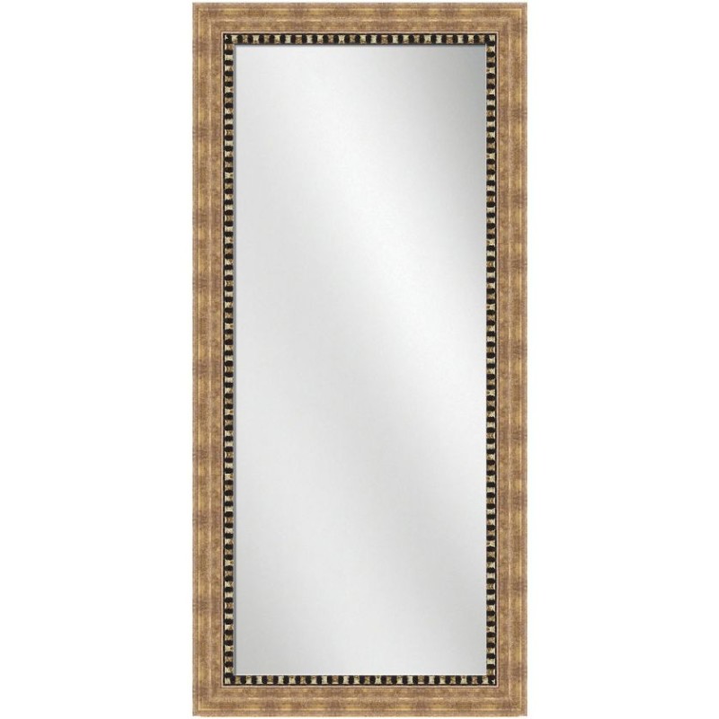 Full Length Mirror Champagne Frame 24 x 60