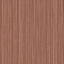 Zebra Mangrove Wall Vinyl