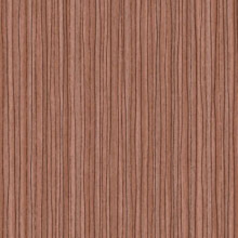 Zebra Mangrove Wall Vinyl