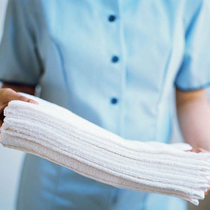 Economy or Garnet Hand Towel