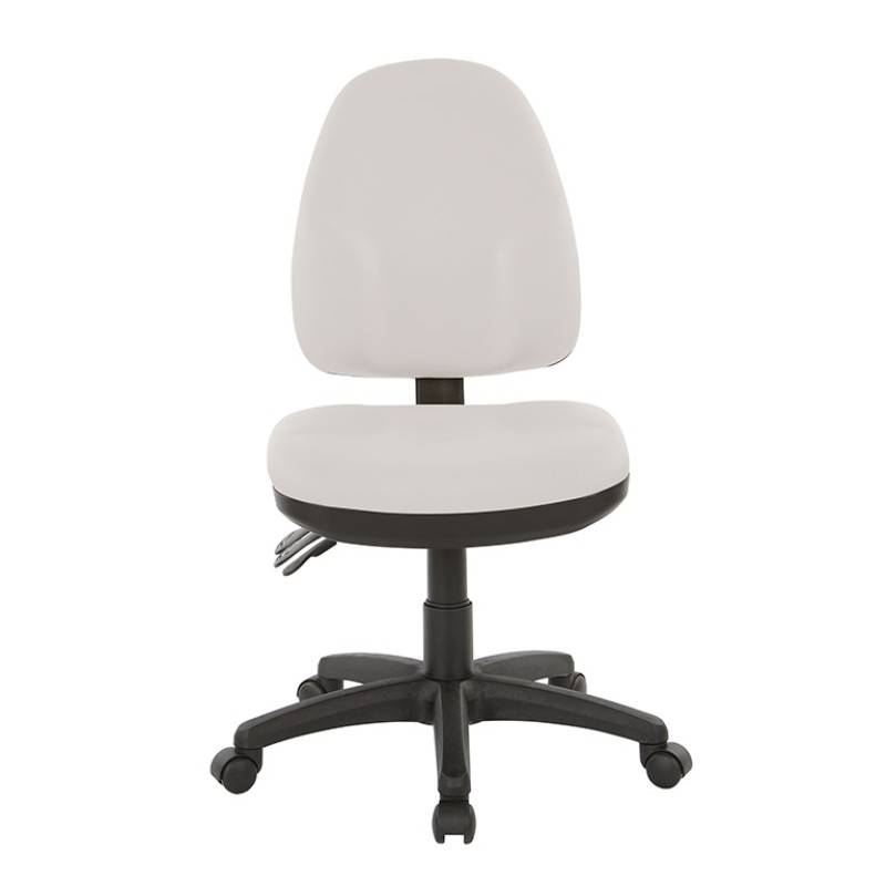 36420-R101 Dual Function Ergonomic Chair